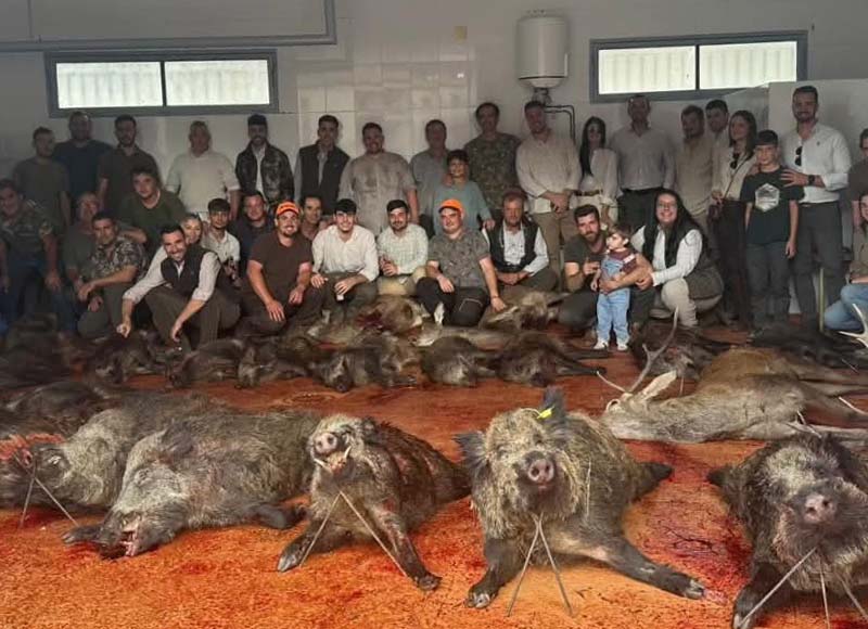 Chaqueta Caza Blaser