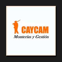 Caycam