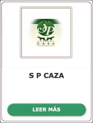 Plantilla ORGANIZACIONES SP CAZA
