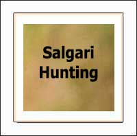 Salgari Hunting