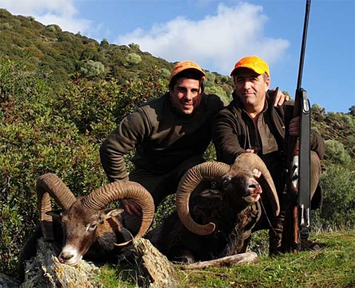 Resultado Montería Cañadillas 2 2019 Iberian Hunting