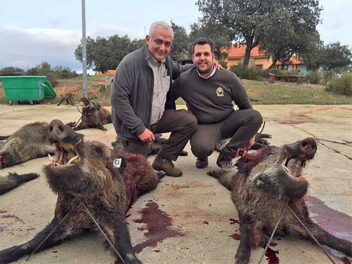 Resultado Montería El Rincón 2019 Iberian Hunting