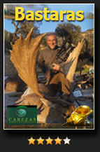 Bastaras