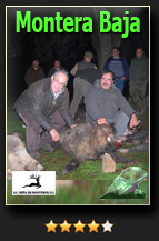 CandidataMonteraBaja