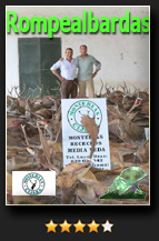 CandidataRompealbardas