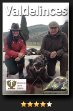 CandidataValdelinces