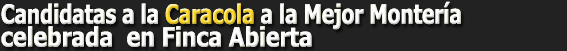 CandidatasCaracolaAbierta