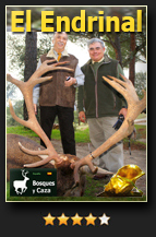 ElEndrinar