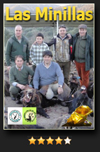 LasMinillas