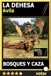 Candidata1516AABosquesyCazaDehesa