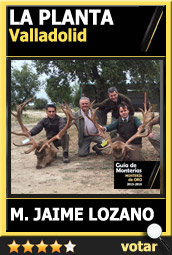 Candidata1516AAJaimeLozanoLaplanta