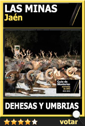 Candidata1516AALasMinasDehesas