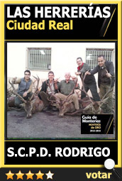 Candidata1516ABSCRodrigoHerrerias