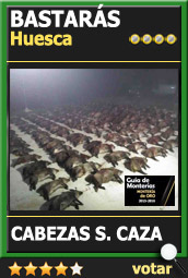 Candidata1516ACCabezasBastaras