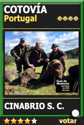Candidata1516ACCinabrioCotovia