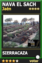 Candidata1516ACSierracazaNavaSach