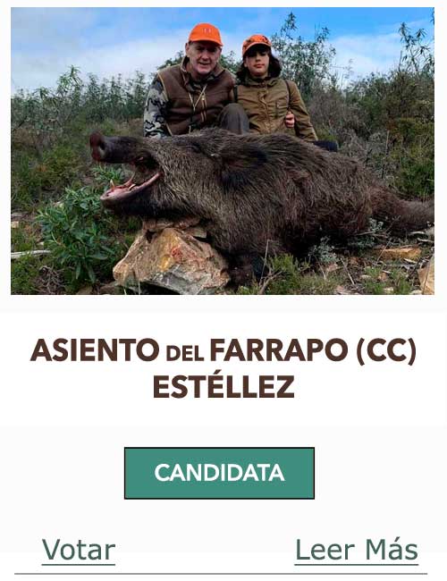 Candidatas 2023 2024 AB Asiento Farrapo
