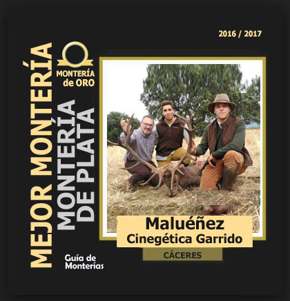 Monteria1718AbiertaPlataMaluenez