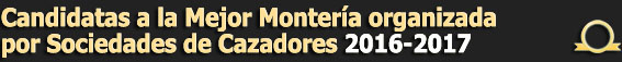 TextoCandidatasMejorMonteriadeOro20162017Sociedades