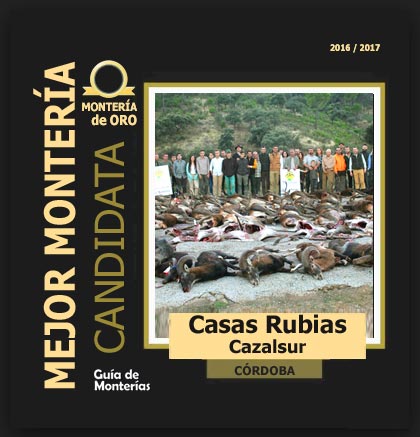 candidata20162017ABCasasRubiasCazalsur