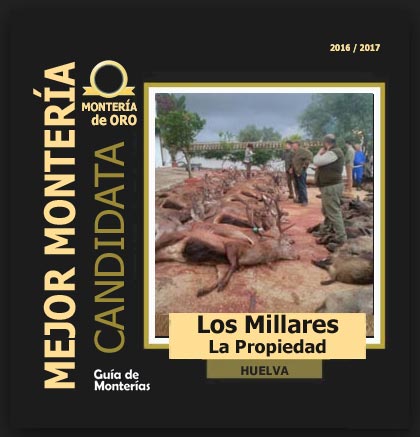 candidata20162017ABLosMillaresPP