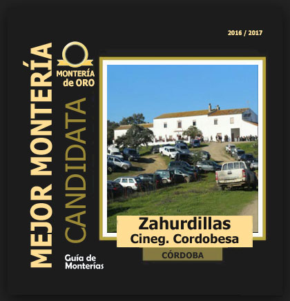 candidata20162017ABZahurdillas