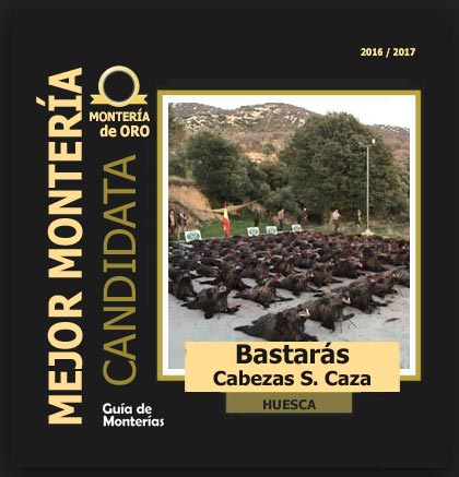 candidata20162017BABastaras2