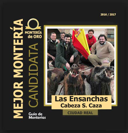 candidata20162017BACabezaBuey