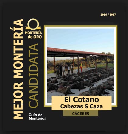 candidata20162017BAElCotano