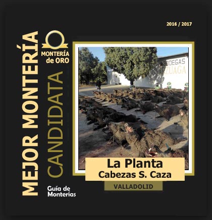 candidata20162017BALaPlanta