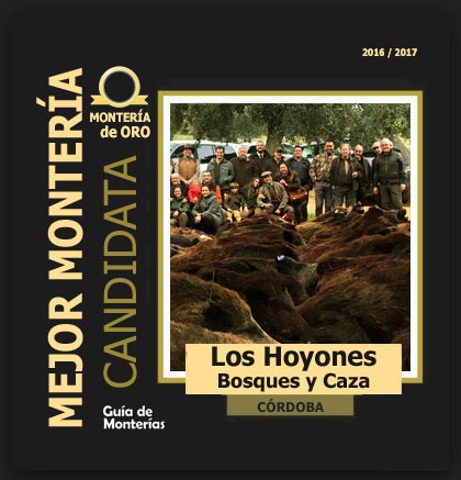 candidata20162017BALosHoyones