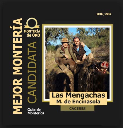 candidata20162017BBMengachasEncinasola