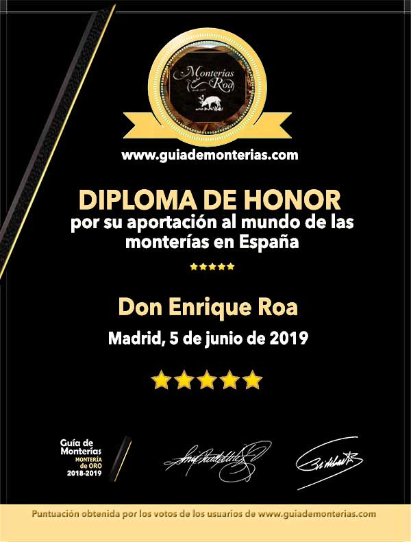DiplomaHonor2019EnriqueRoaPQ