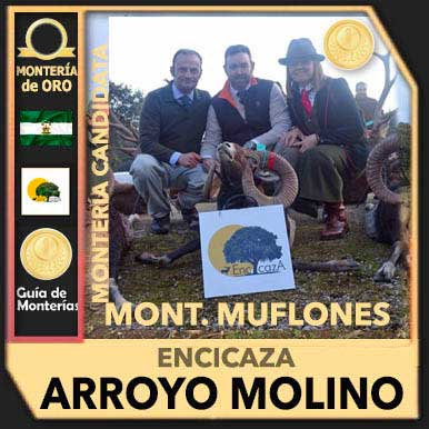 MonteriaMuflonesOro2019ArroyoMolino
