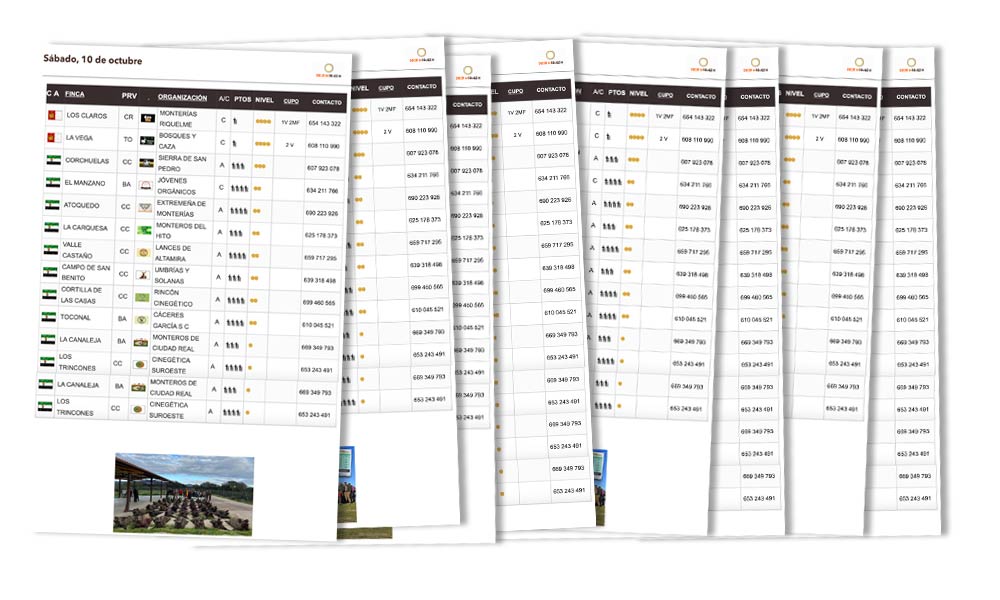 Todos los Calendarios Dias