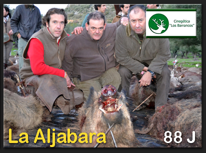 MasJabalisAljabara