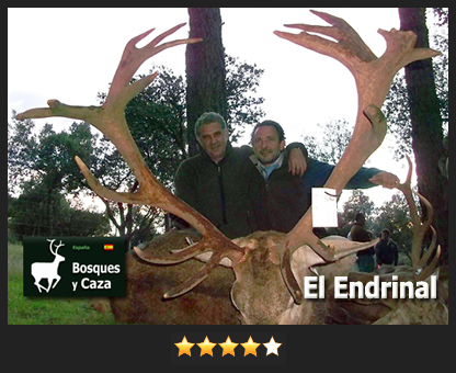 RankingVenadoEndrinar9