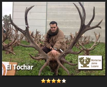 RankingVenadoTochar84