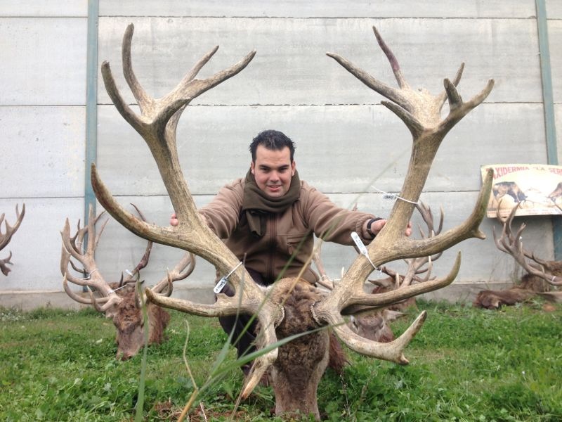 rankingtocharlozano1