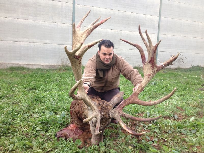 rankingtocharlozano12