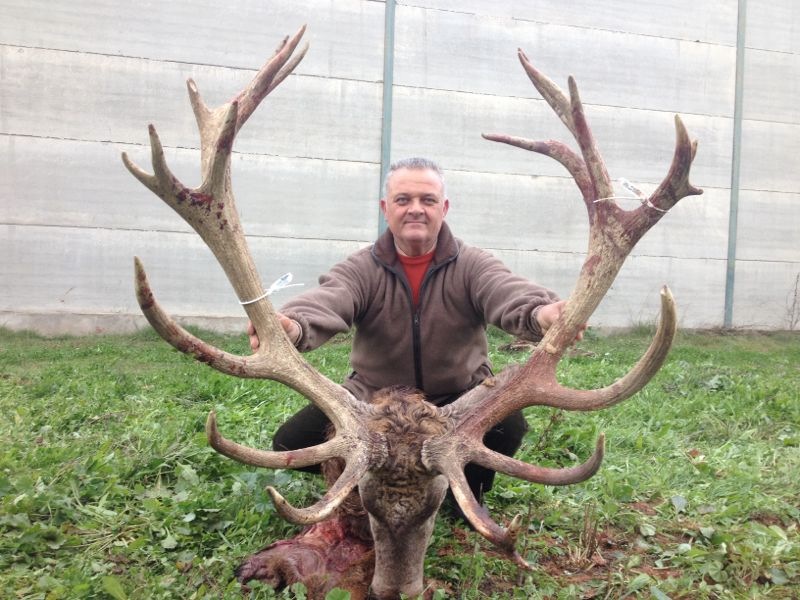 rankingtocharlozano4