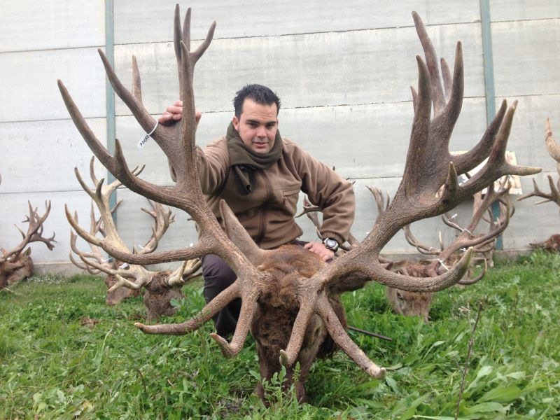 rankingtocharlozano5