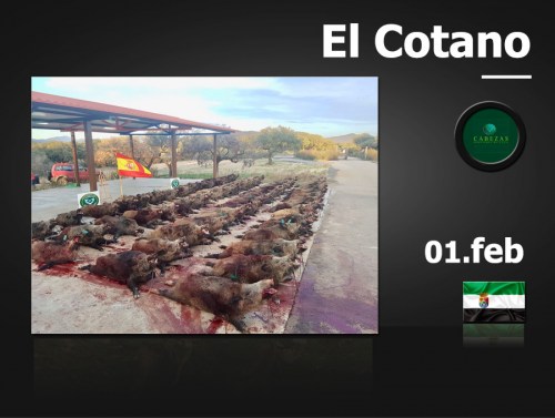 El Cotano