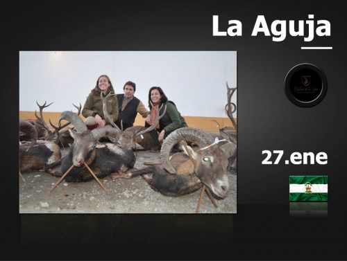 La Aguja
