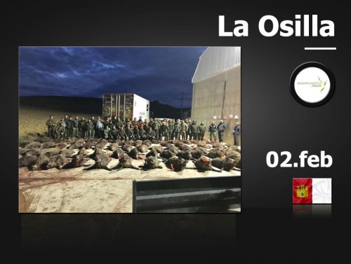 La Osilla