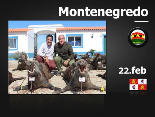 Montenegredo