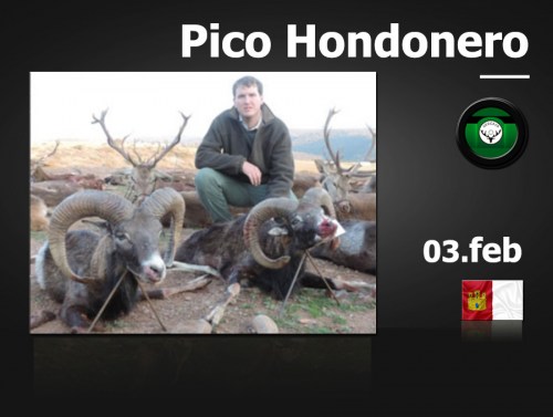Pico Hondonero