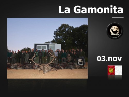 La Gamonita