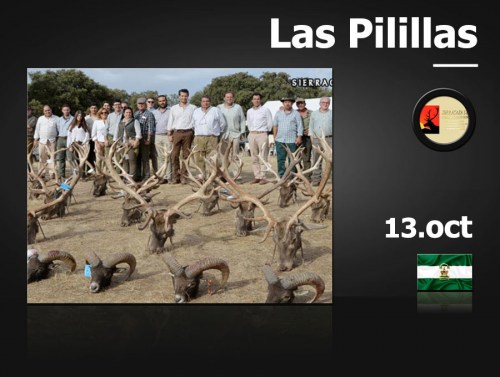 Las Pilillas