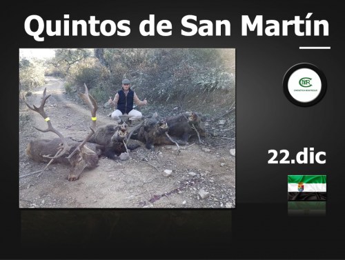 Quintos de San Martin